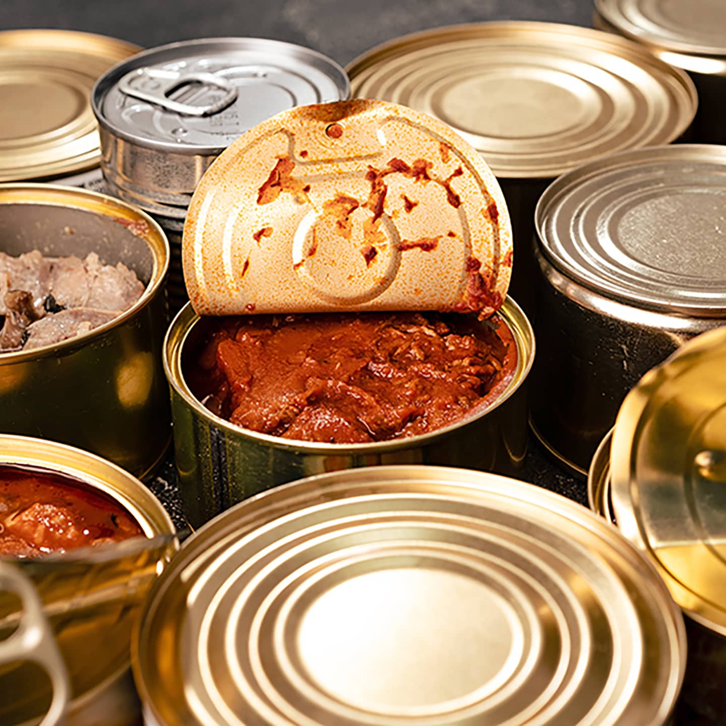 What is canned food?