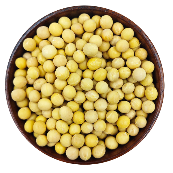 Soya Beans